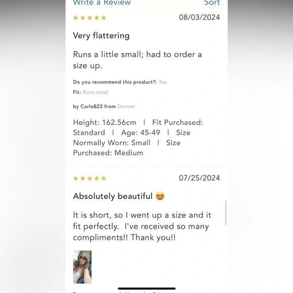 Anthropologie NWT Maeve Drop-Waist Mini Dress size L. - Picture 12 of 16